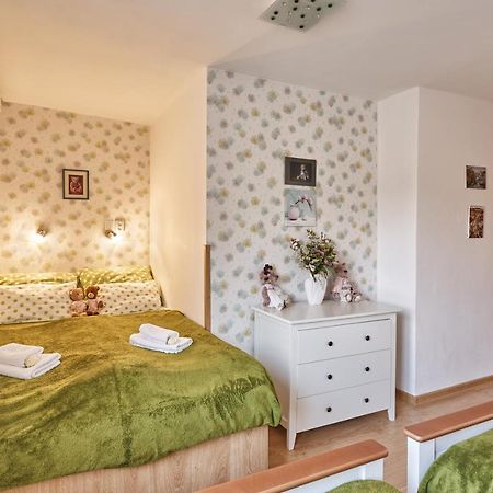 Apartment U Medvidka Karlovy Vary Extérieur photo